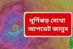 Cyclone mocha update